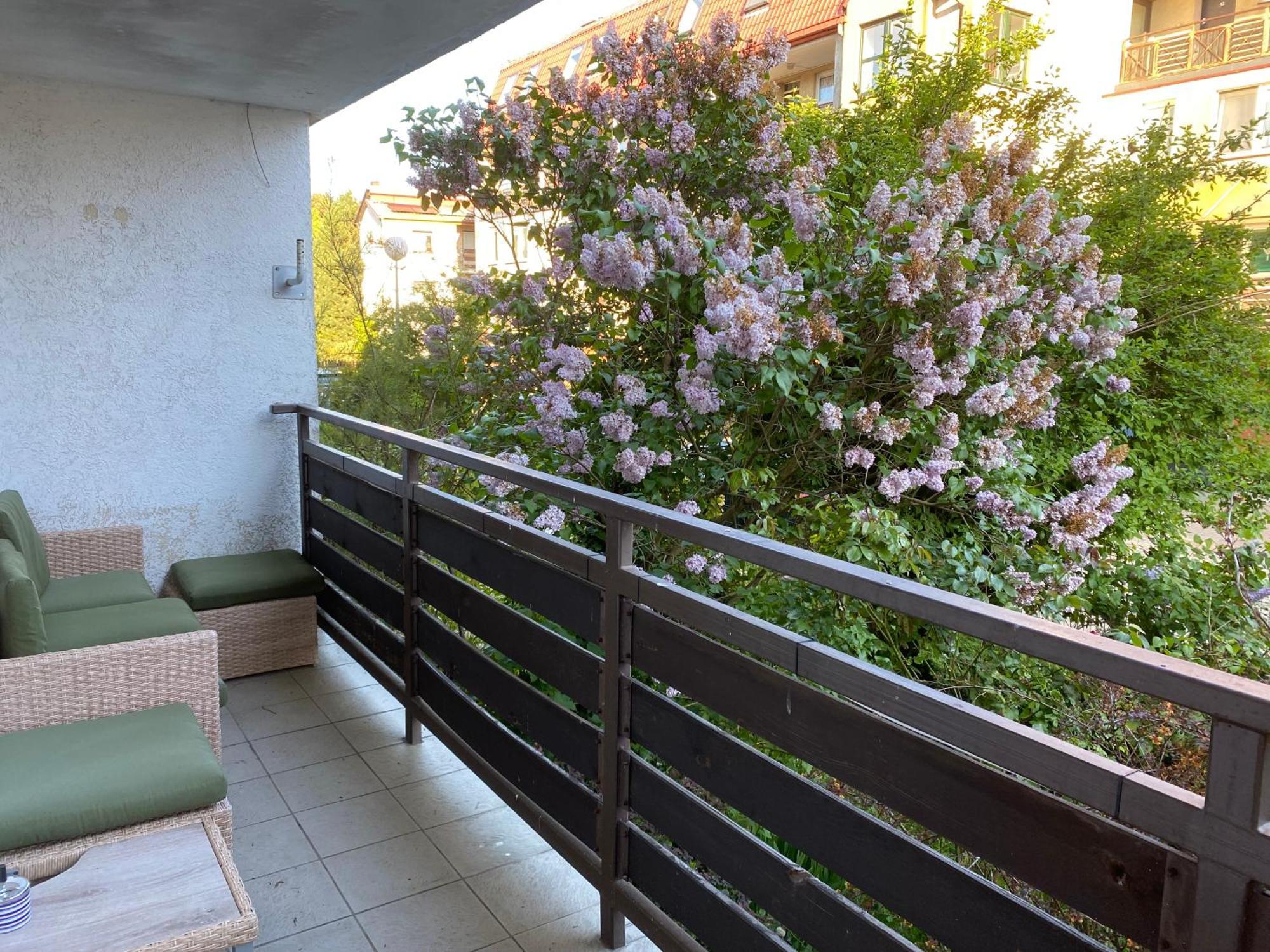 Lesne Apartamenty - Apartament Szary Hel Exteriör bild